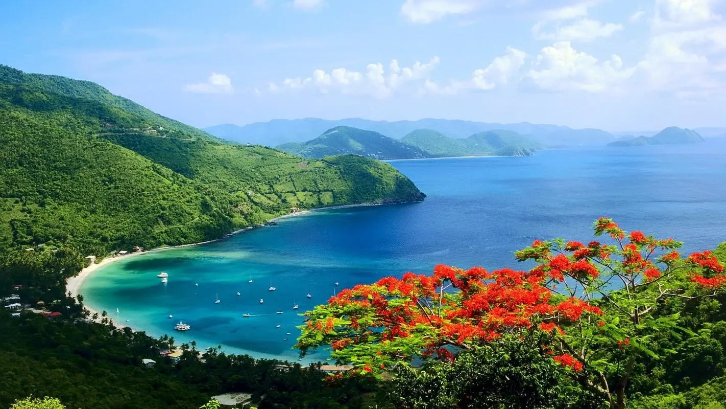 高端可靠性先进